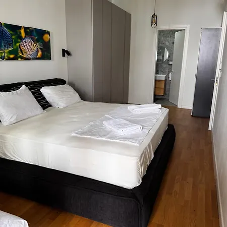 Coast 241 * بالاسي